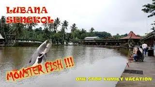 LUBANA SENGKOL | One Stop Family Vacation - Mancing Mania