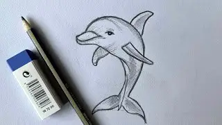 Dolphin Tutorial | Pencil Drawing