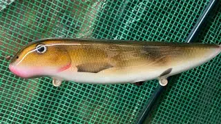 Rustys Custom Lures &ldquo;Sick Sucker&rdquo; glidebait.