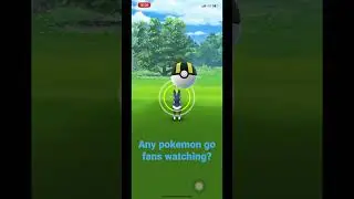 Evolving Shiny Blitzle Into Shiny Zebstrika⚡️⚡️ #pokemonteam #pokemon #packopening #pokemongo