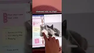 me obsessed with my iPad? 😍 goodnotes digital planner | iPad pro & apple pencil