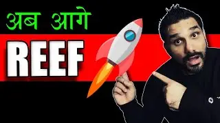 Reef 🚀🚀 What About Cardano - ADA update