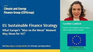 Caroline Lambert - EU Sustainable Finance Strategy
