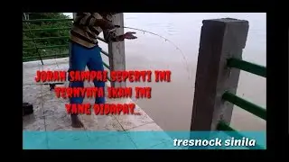 Mancing di sungai musi awal tahun 2020 #mancingmania palembang