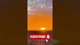 Mind-Blowing Signs of Allah in Nature? #naturereflections , #islamicmotivation , #natureandfaith