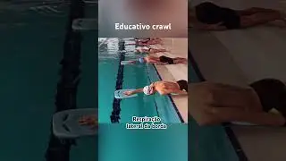 Educativo crawl - respira&ccedil;&atilde;o lateral da borda