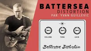 ALH Effects Battersea Distortion - In The Flesh by Yvan Guillevic