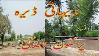 Village Life in Punjabi Dera | Dehati Dera | Punjab Vlog | Vehari Vlog | Vehari_Punjab_Pakistan |
