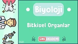 BİTKİSEL ORGANLAR - KONU ANLATIMI - BİYOLOJİ - İZLE - &Ouml;ĞREN