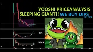 Yooshi Meme Coin. Should you buy YooShi 2024!