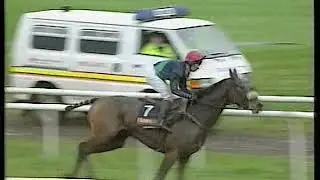 1995 Hennessy Cognac Gold Cup  Couldn't Be Better Includes Replay & Enclosure