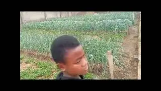 LELIV CIG's Visit to The Capuchin Organic Farm (TCOF), Mile 16 Buea, South West Region of Cameroon