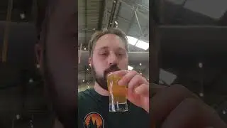 Brewery review at Urban South in #neworleans! #beerreview #beer #drinkreview