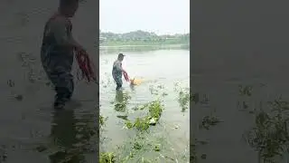 Professional Frisbee Net Bold and Heavy One Finger