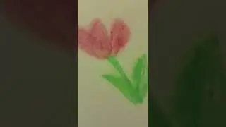 tulip flower drawing &bull;&deg;🌷;