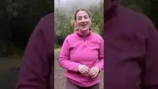 Sarah&rsquo;s thoughts about the hike 🏔️