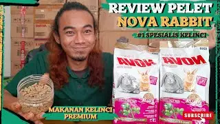 PELET KELINCI NOVA RABBIT | MAKANAN KELINCI TERBAIK #peletkelinci #makanankelinci #kelincihias