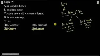 Sugar &lsquo;X&rsquo;: A. is found in honey  B. is a keto sugar  C. exists in &alpha; and &beta; anomeric forms  D. is laev