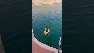 CE PETIT PLONGE AVEC LES DAUPHINS !! #dubai #oman #abudhabi #beach #fyp #short #viral