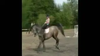 Vyuka jezdeni na koni na SZES Lanskroun