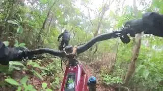 01-02-2026 倫 法 差啲撞樹