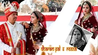 Cinemetic Wedding Teaser 2024 || Dharampal Weds Reena || By PicsArt Studio 9857272929