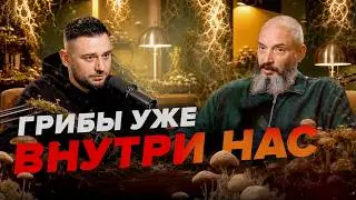 Грибы уже победили? Миколог объясняет главную угрозу человечеству
