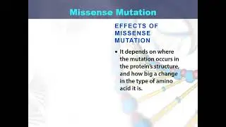 Missense mutation