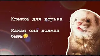 Клетка для хорька с озон \\какая она должна быть?\\