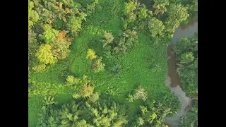 A quick boat survey down the Dodo River, Ivory Coast