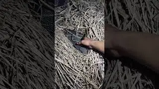 there are animals sleeping in the straw #shortvideo #animals #nature #woodscraft #cute #woodstatue