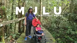 Gunung Mulu National Park Malaysia | Explore Borneo