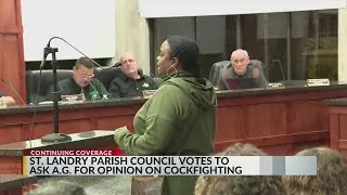 Cockfighting controversy continues; St. Landry Parish Council seeks opinion from Attorney General
