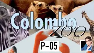 Visiting Colombo Zoo || VNiro || Part - 05