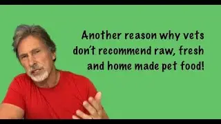 Another Reason Why Vets Don't Recommend Raw, Fresh or Home Made Pet Foods