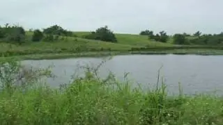 US Army Video News Release - WIldlife