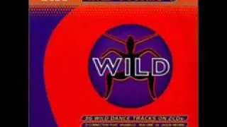Wild FM vol.4 CD1 Track 14