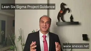 Complete Lean Six Sigma Project Online with Anexas