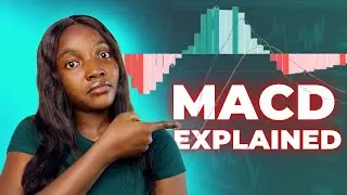 What Is MACD Indicator In Forex Trading