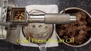 Cold Press Pecan Oil