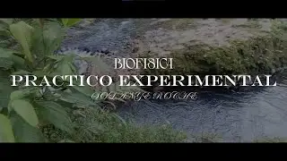 | BIOFISICA | 🍃PRACTICO EXPERIMENTAL 🌅