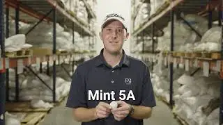 LostGolfBalls.com Quality Grading Scale Explained &ndash; Know What You&rsquo;re Getting!