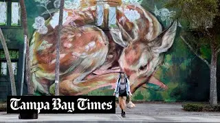 Why are there so many murals in St. Petersburg? A brief history