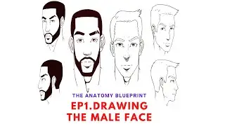 HOW TO DRAW THE MALE HEAD TUTORIAL - Digital art for beginners