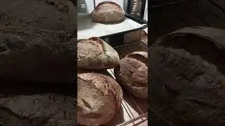 Ekmeklerin üzerine çizik neden atılır. 