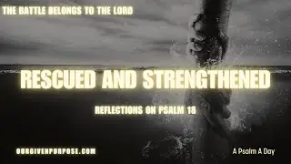 Day 204 Rescued & Strengthened