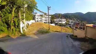 fpv1