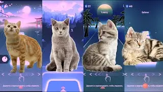 Cute cats | Tiles Hop | Tiles Hop edm rush