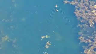 Catching a few carp with the drone.  Tipton canal