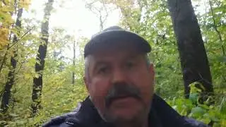 Прогулянка лісом Степанівка Хмельницька область.23 жовтень.